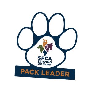 Custom Paw Shape Decal with Footer