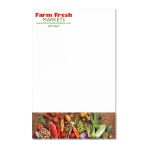 Custom America 250 TM Scratch Pad | 5 1/4" x 8 1/4" | 50 Sheet - 1