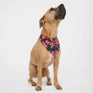 Custom Doggie Skins® USA-Made Doggie Bandana