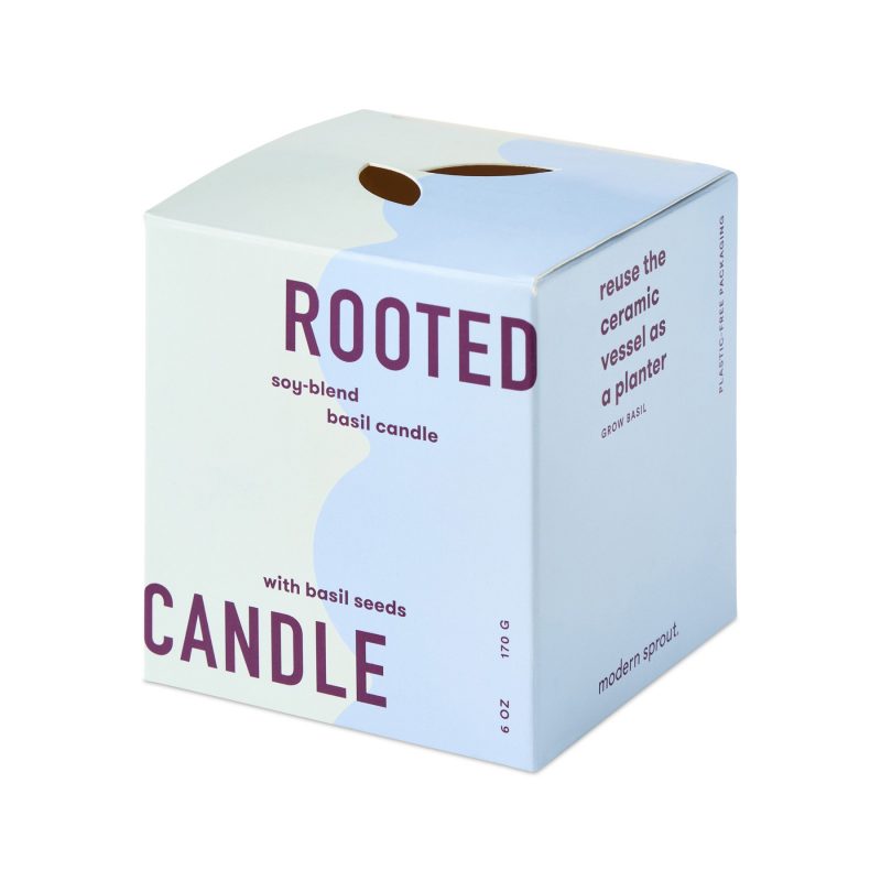 Custom Modern Sprout Rooted Candle - Blue-Basil - 4