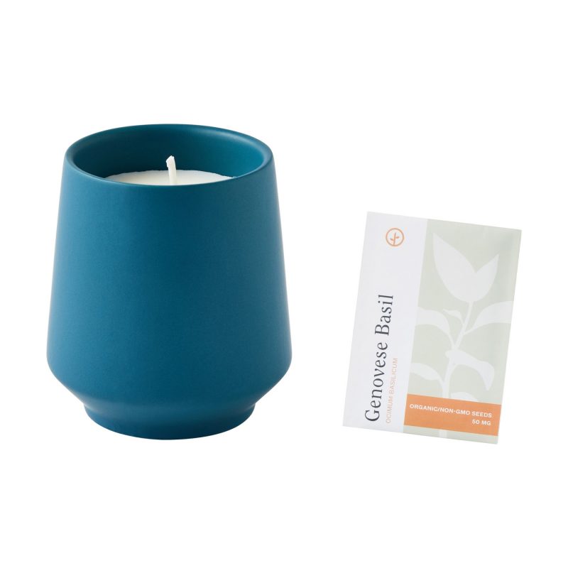 Custom Modern Sprout Rooted Candle - Blue-Basil - 6