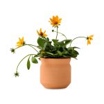 Custom Modern Sprout Tiny Terracotta Thank You - Terracotta - 1