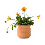 Custom Modern Sprout Tiny Terracotta Thank You - Terracotta
