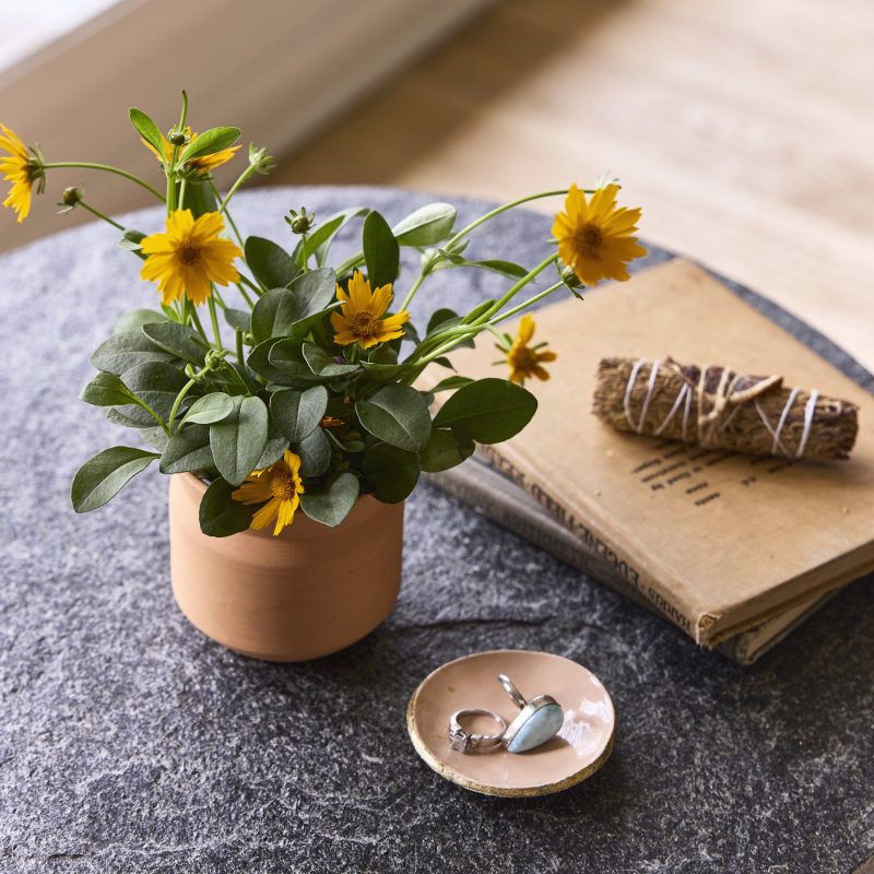 Custom Modern Sprout Tiny Terracotta Thank You - Terracotta - 3