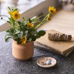 Custom Modern Sprout Tiny Terracotta Thank You - Terracotta - 4