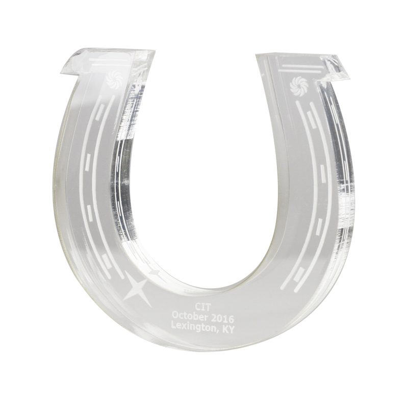 Custom Acrylic Award 30 square inches - 6