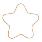 Custom 3" Star Logo Sugar Cookie - 1