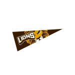 Custom 4" X 10" Pennant
