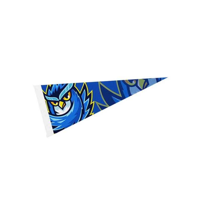 Custom 4" X 10" Pennant - 2