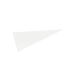 Custom 5" X 12" Pennant - 1