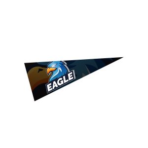 Custom 5" X 12" Pennant