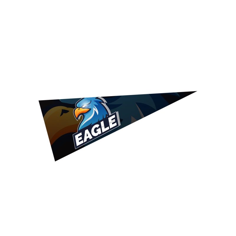 Custom 5" X 12" Pennant