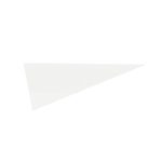 Custom 9" X 24" Pennant - 1