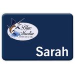 Custom Chicago Plastic Express Name Badge (Standard size 2" x 3")