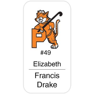 Custom Fort Worth Plastic Name Badge: 3" x 1-1/2"