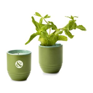 Custom Modern Sprout Garden Vibes Candle/Planter - In The Weeds-Mint