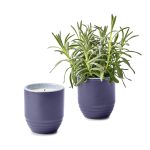Custom Modern Sprout Garden Vibes Candle/Planter - Violet Hour-Lavender - 1