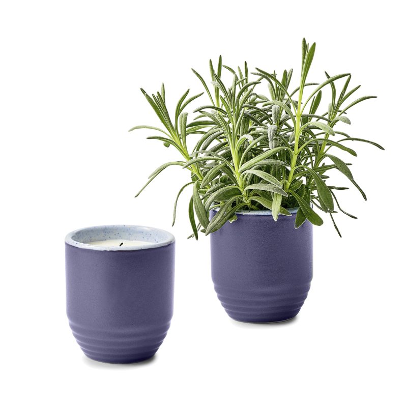 Custom Modern Sprout Garden Vibes Candle/Planter - Violet Hour-Lavender - 1