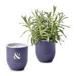Custom Modern Sprout Garden Vibes Candle/Planter - Violet Hour-Lavender