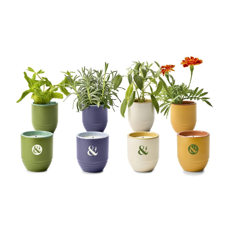 Custom Modern Sprout Garden Vibes Candle/Planter - Violet Hour-Lavender - 5