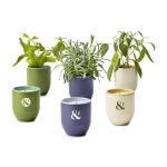 Custom Modern Sprout Garden Vibes Candle/Planter - Violet Hour-Lavender - 6