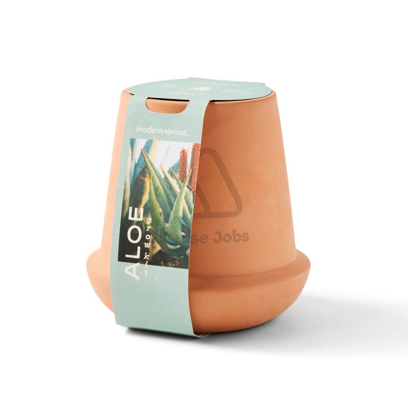 Custom Modern Sprout Modern Terracotta Grow Kit Aloe - Terracotta - 3
