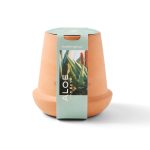 Custom Modern Sprout Modern Terracotta Grow Kit Aloe - Terracotta - 4