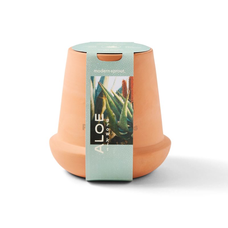 Custom Modern Sprout Modern Terracotta Grow Kit Aloe - Terracotta - 4