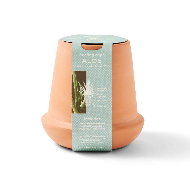 Custom Modern Sprout Modern Terracotta Grow Kit Aloe - Terracotta - 5
