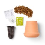 Custom Modern Sprout Modern Terracotta Grow Kit Aloe - Terracotta - 6
