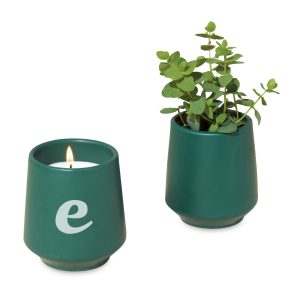Custom Modern Sprout Rooted Candle - Dark Teal-Thyme