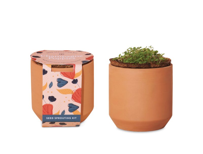Custom Modern Sprout Tiny Terracotta Grow Kit Champagne Poppies - Terracotta - 1
