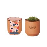 Custom Modern Sprout Tiny Terracotta Grow Kit Champagne Poppies - Terracotta