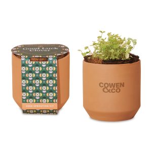 Custom Modern Sprout Tiny Terracotta Grow Kit Good Luck Clover - Terracotta