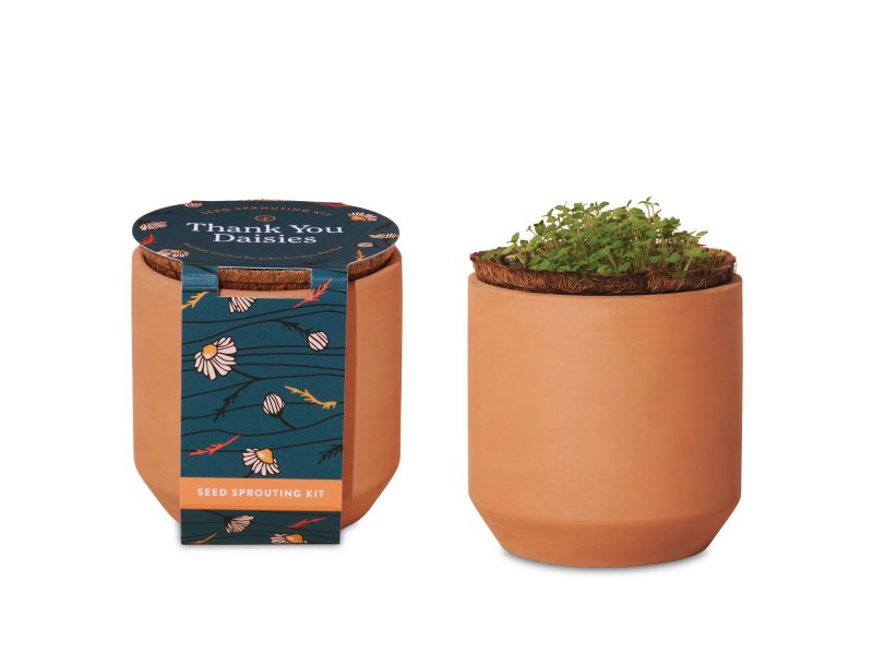 Custom Modern Sprout Tiny Terracotta Grow Kit Thank You Daisies - Terracotta - 1