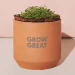 Custom Modern Sprout Tiny Terracotta Grow Kit Thank You Daisies - Terracotta - 4