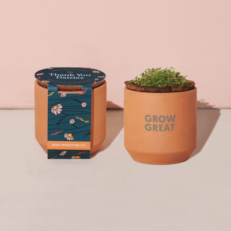 Custom Modern Sprout Tiny Terracotta Grow Kit Thank You Daisies - Terracotta - 5