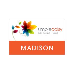 Custom St. Paul Plastic Name Badge (Standard Size 2" x 3")